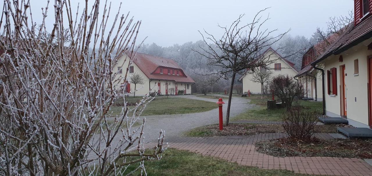 Apartment Kleine Strandnahe Auf Dem Bakenberg Insel Ruegen Dranske